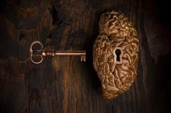 lockbrain